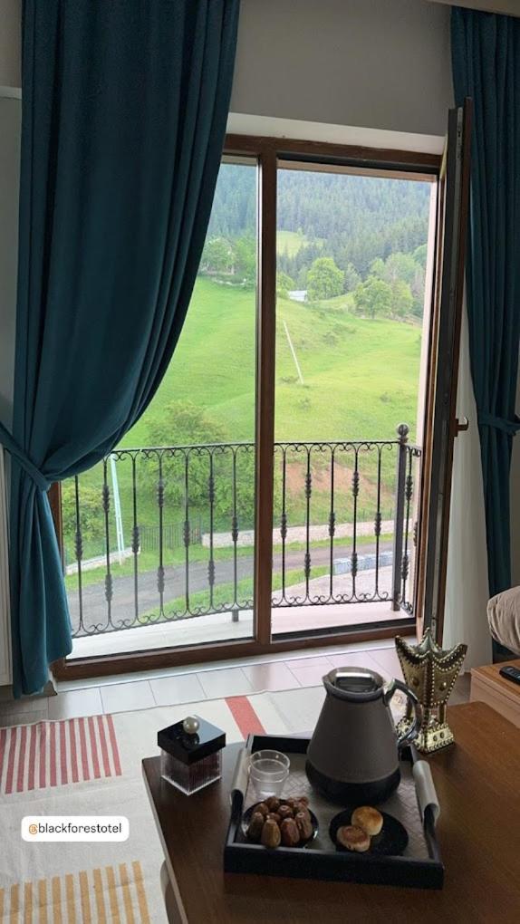 Black Forest Hotel Savsat 外观 照片