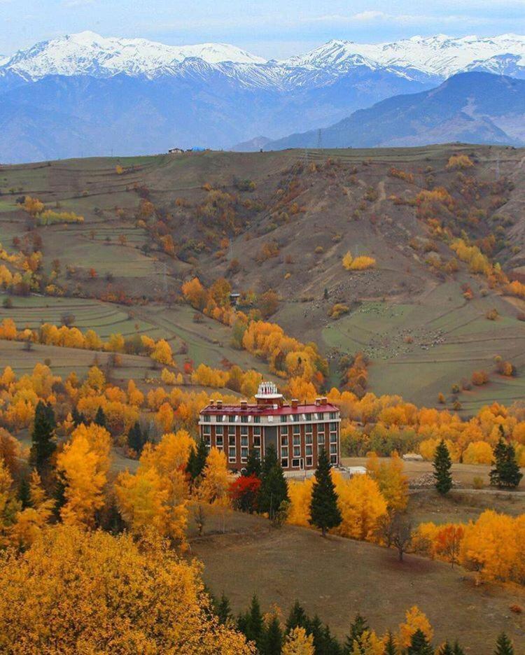 Black Forest Hotel Savsat 外观 照片