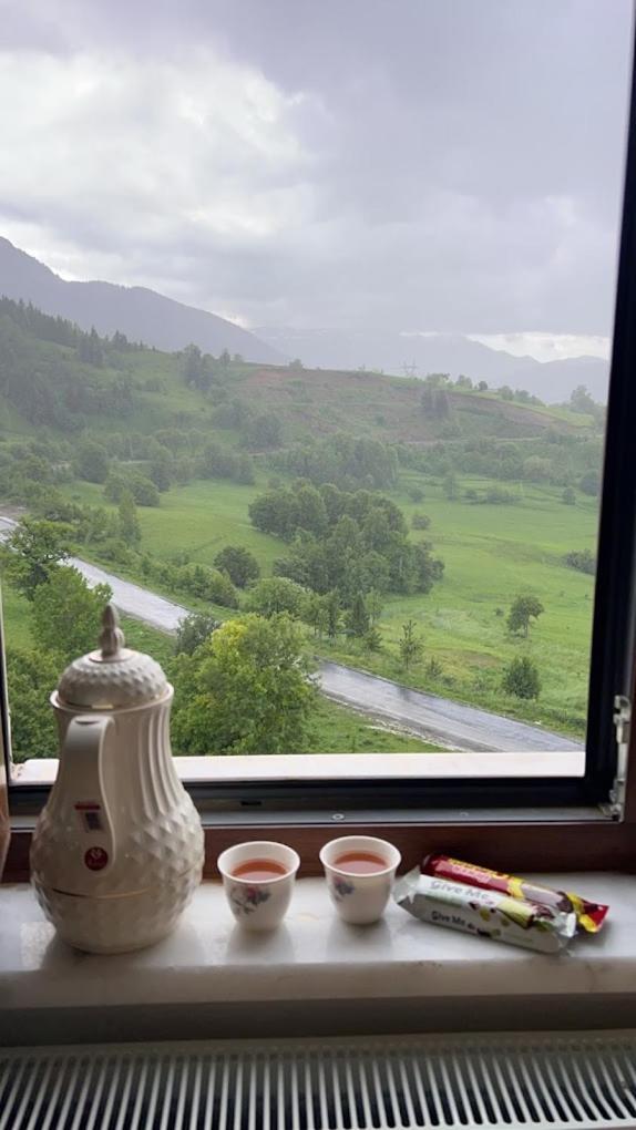 Black Forest Hotel Savsat 外观 照片
